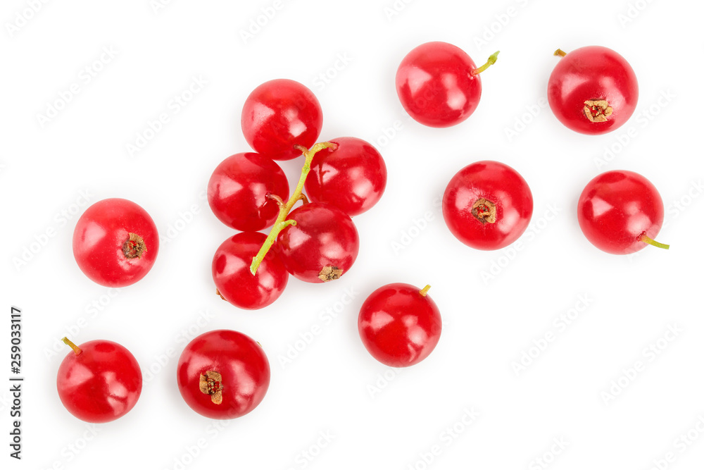 Red currant berry isolated on white background. Top view. Flat lay pattern Red currant berry isolated on white background. Top view. Flat lay pattern
