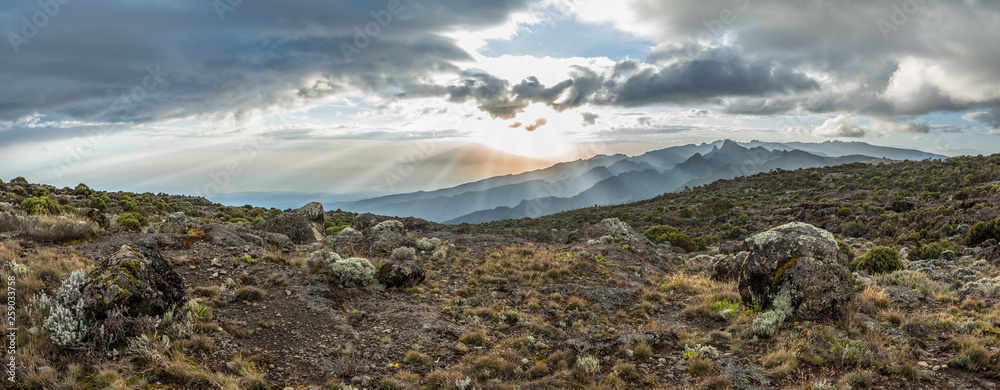Panoramic view of sunset over Mount Meru in Tanzania taken from the Shira Cave camp on the Machame route of Kilimanjaro. Sunrays burst through the dramatic clouds towards moorland foliage and rocks.