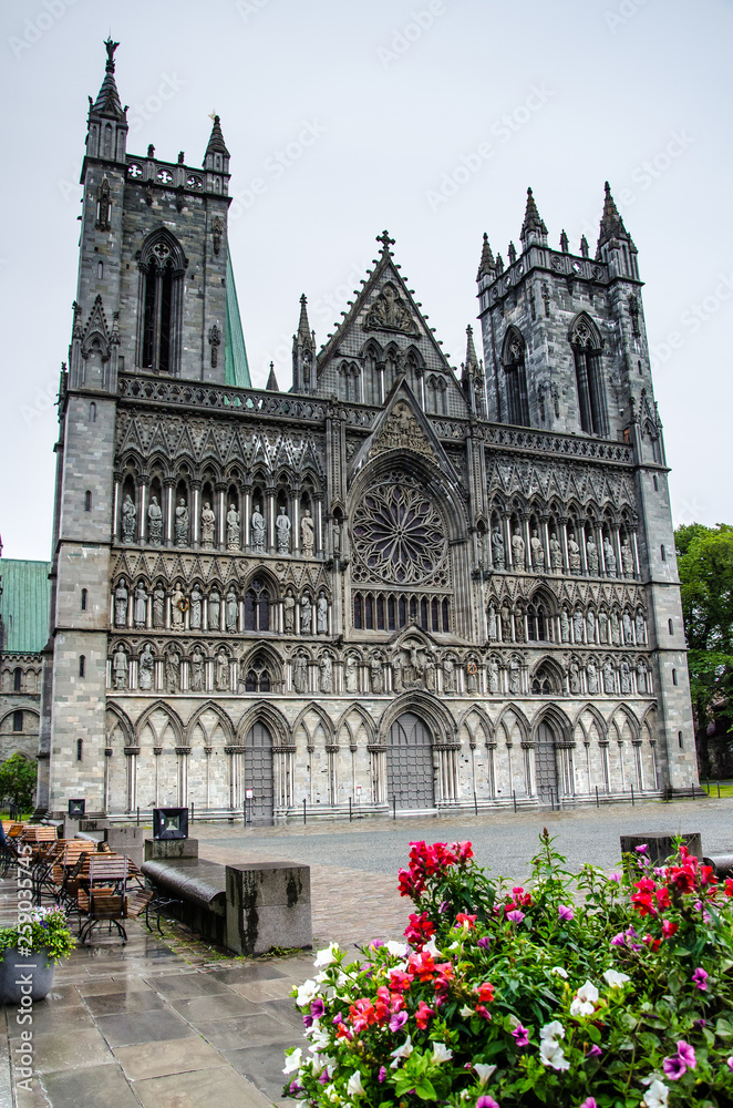Nidaros cathedral in Trondheim, Norway, with red rose flowers in the foreground