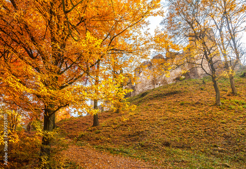 Autumn landscape with ruin of medieval castle The Povazsky hrad, Slovakia, Europe.