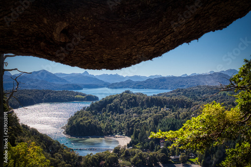 Liveview of a forest and the lake in the background and a trunk crossing the scene