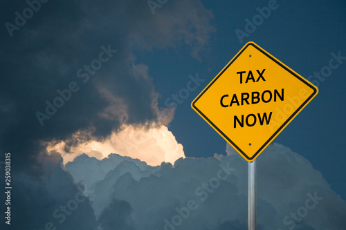 Environmental Sign Post, "TAX CARBON NOW".