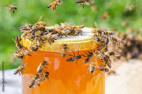 swarm of bees around a jar full of honey in apiary  