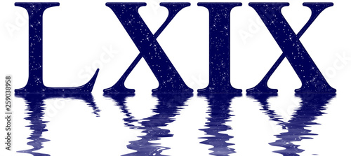 Roman numeral 69, sixty nine, star sky texture imitation, reflected on the water surface, isolated on white, 3d render