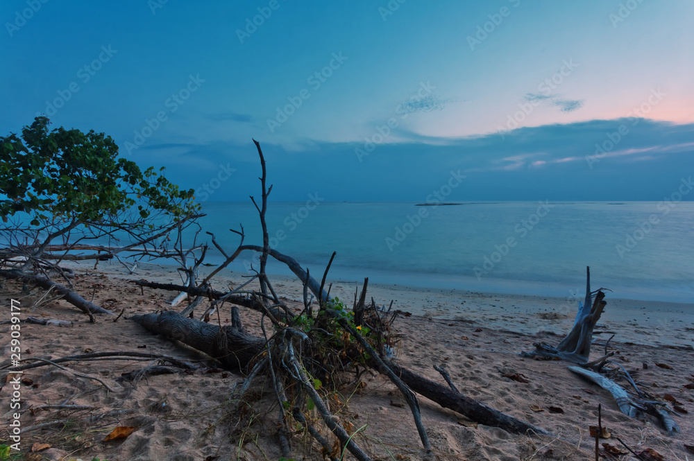 Tropical beach with old wood snag at sunset