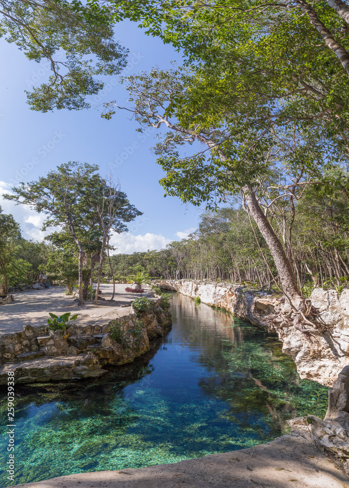 Cenotes, Turtle House, Tulum , Quintana Roo, Mexico