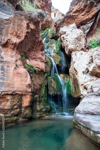 Fresh water cascading down falls and accumulating in small crystal clear pools  Elves Chasm  Grand Canyon National Park  Arizona