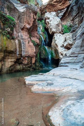 Fresh water cascading down falls and accumulating in small crystal clear pools  Elves Chasm  Grand Canyon National Park  Arizona