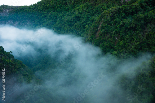 fog entering the Laurisilva Forest in Los Tilos ravine, La Palma Island, Canary Islands, Spain