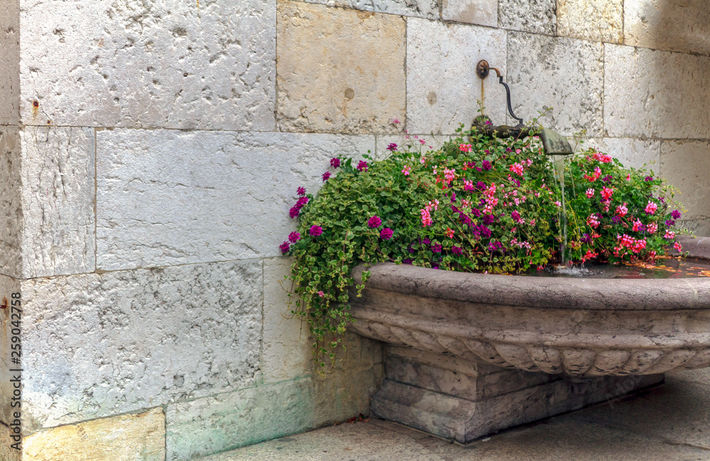flowers in a fountain with a stone wall