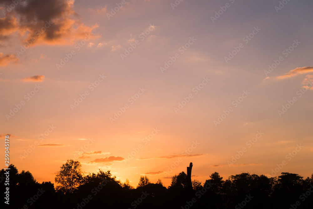 Silhouette of tree with evening sky Silhouette of tree with evening sky