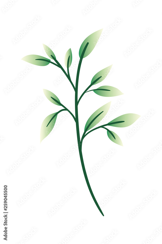 Fototapeta premium branch with leaf isolated icon