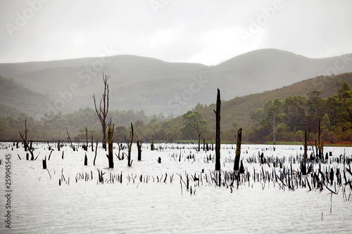 Views of Lake Burbury Tasmania photo