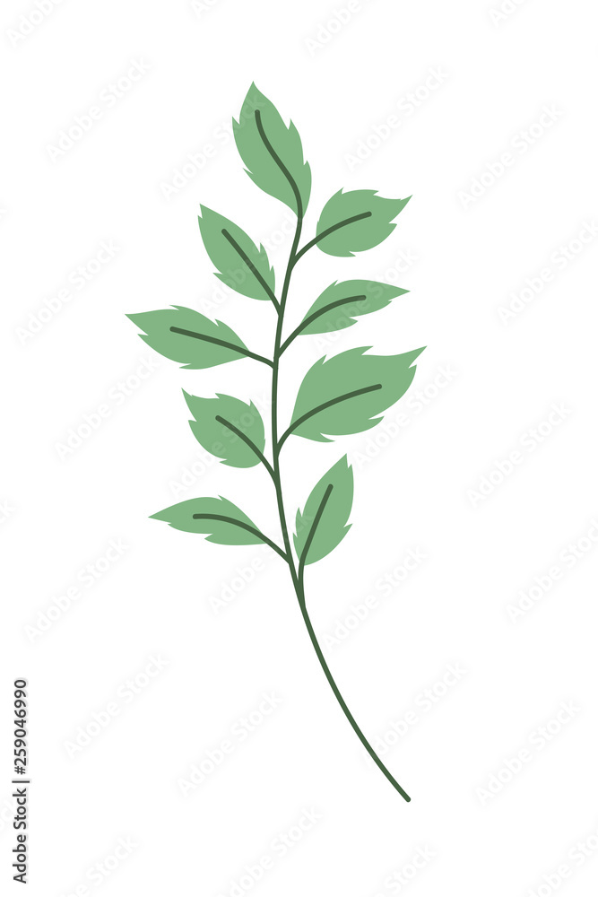 Fototapeta premium branch with leaf isolated icon