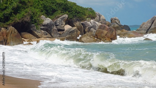 tropical coral beach on koh samui photo