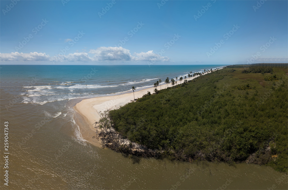 Aerial view of tropical beach on the Brazilian Northeastern coast