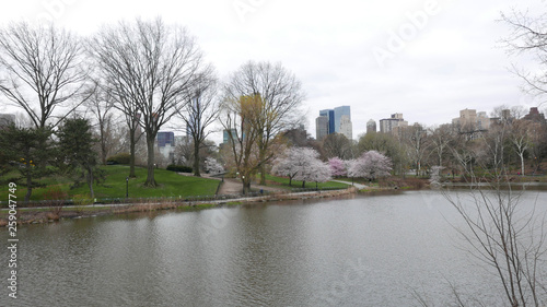 Cherry Hill The Pond and Sky line at Central Park © Kasnia