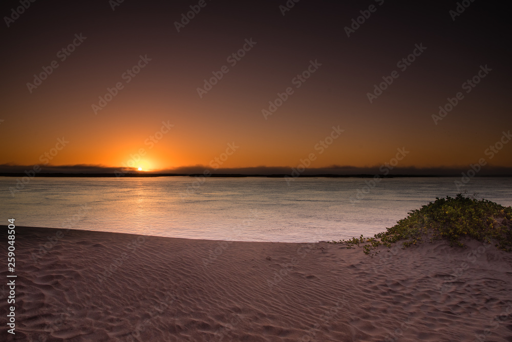 Sun rise from an island in Magdalena bay Baja mexico with a mild fog bank smooth water and violet sand.  