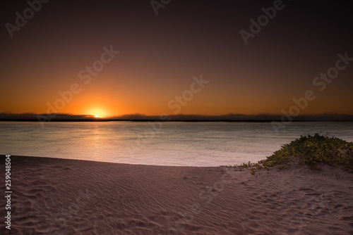Sun rise from an island in Magdalena bay Baja mexico with a mild fog bank smooth water and violet sand. 