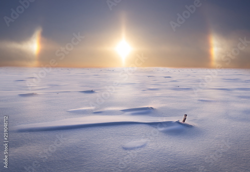 Fotografija sundogs in the winter over a field