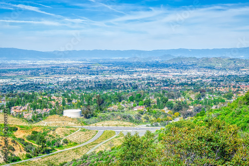 forest view of the city on spring day