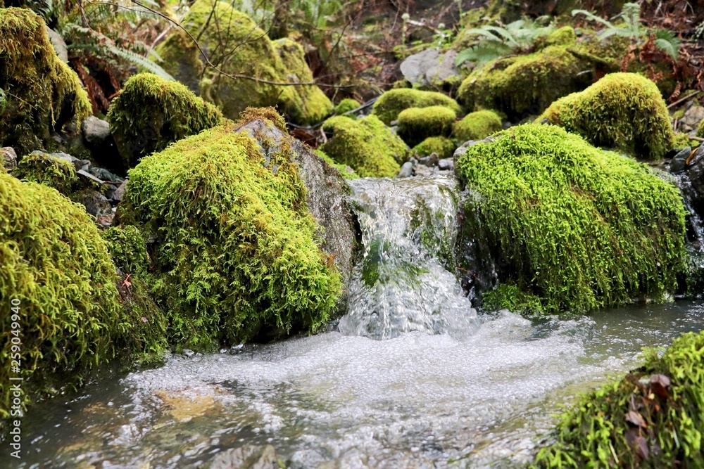 flowing stream flowing stream