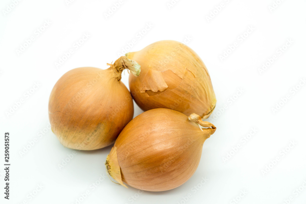 onion isolated on white background