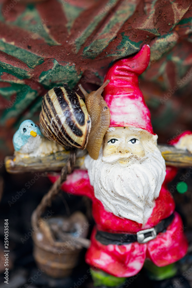 snail on garden gnome 