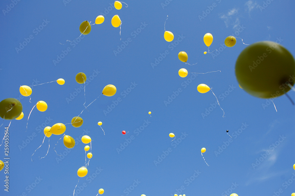 Balloon Release Balloon Release
