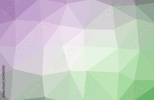 Fototapeta Naklejka Na Ścianę i Meble -  Vector Polygon Abstract modern Polygonal Geometric Triangle Background.