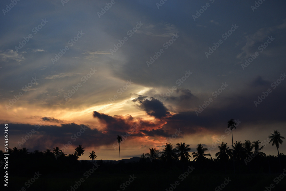 Obraz premium Silhouette of coconut palm tree with black and orange color fluffy cloud at sunset , White cotton candy clouds on tropical blue sky at night, Thailand