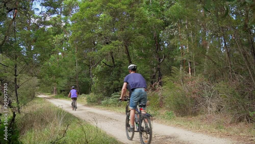 Cyclists pass quickly on a dirt road on the outskirts of a dense forest Cyclists pass quickly on a dirt road on the outskirts of a dense forest