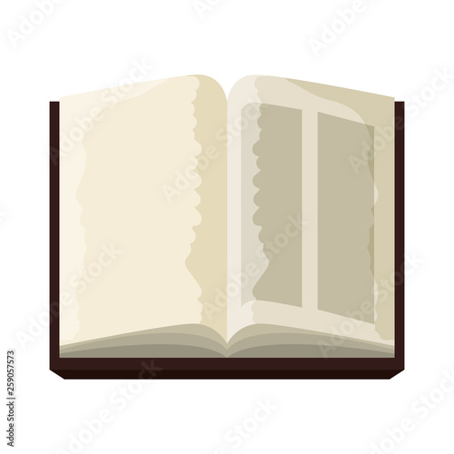 holy bible book icon