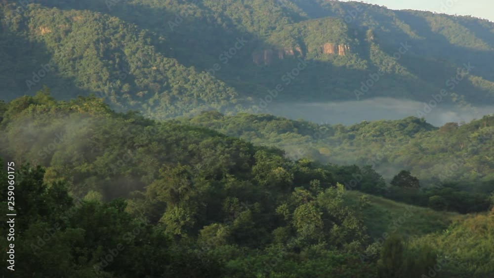 Misty mountain in the deep forest which fog and cloud flowing through the woodland hill timelapse Misty mountain in the deep forest which fog and cloud flowing through the woodland hill timelapse