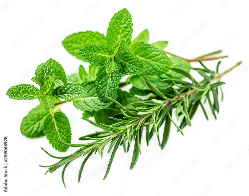 Fresh herbs isolated on white background. Fresh mint and rosemary leaf. - obrazy, fototapety, plakaty 