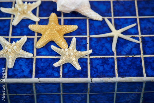 Starfish on pool side blue tiles 