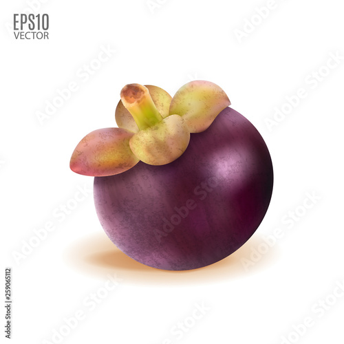 ripe mangosteen isolated on white background closeup