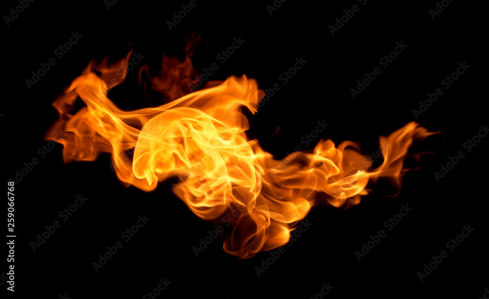 Fototapeta premium Fire flames on a black background