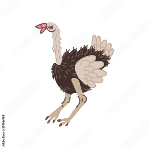 Ostrich Wild Exotic African Bird Vector Illustration