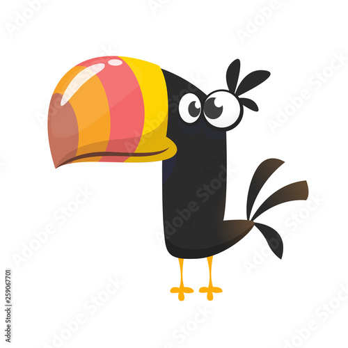 Funny toucan cartoon. Vector bird illustration