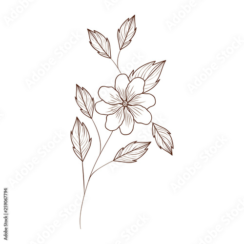 beautiful flowers with leafs isolated icon