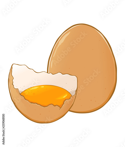 Eggs Hand Drawn Illustration