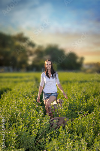 Young woman in the countryside playing with her dogs in an open green field at sunset and a dramatic sky