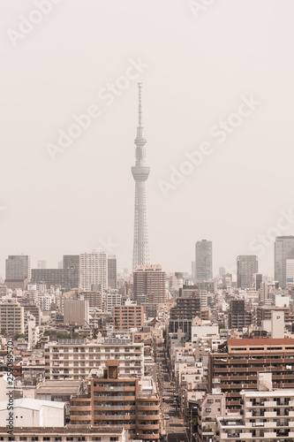 Aerial photography of Tokyo Skytree . Tokyo, Japan 