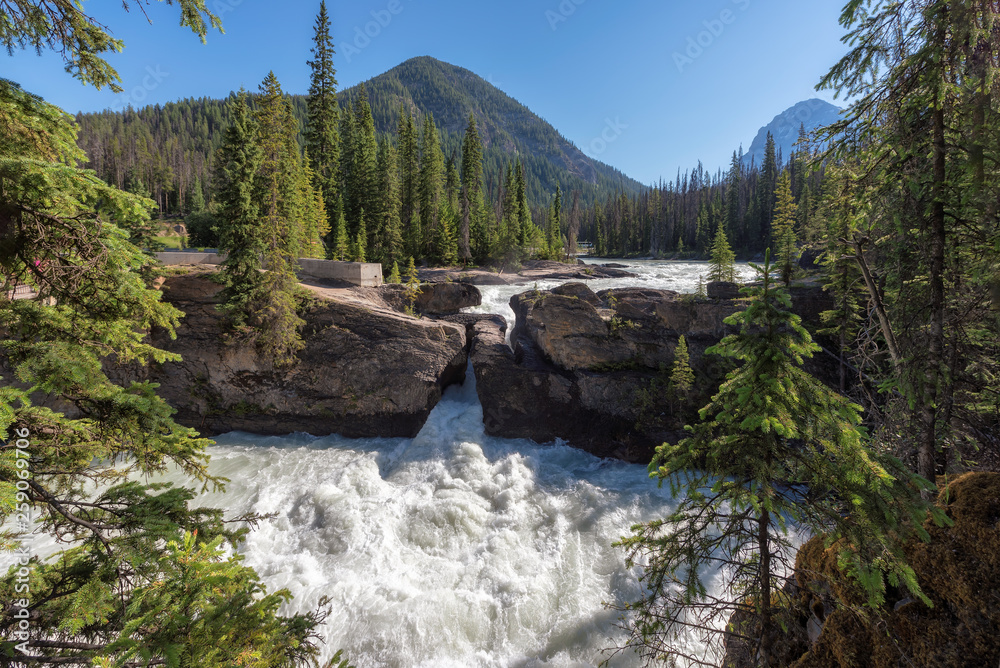 Yoho National Park, Canada. The famous Natural Bridge phenomena. Yoho National Park, Canada. The famous Natural Bridge phenomena.