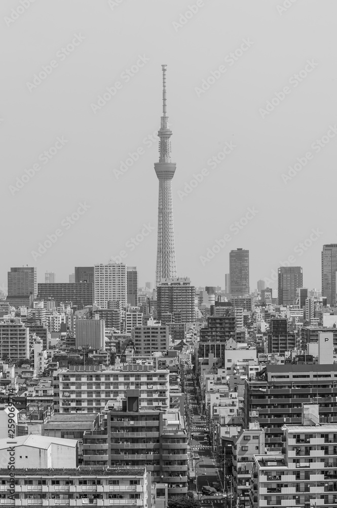 Monotone , Aerial photography of Tokyo Skytree . Tokyo, Japan  