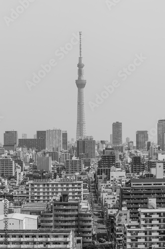Monotone   Aerial photography of Tokyo Skytree . Tokyo  Japan  