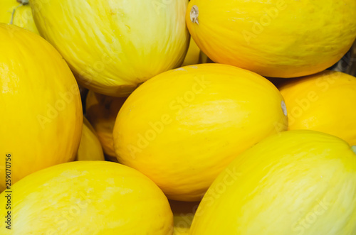 yellow melons stacked for retail sale
