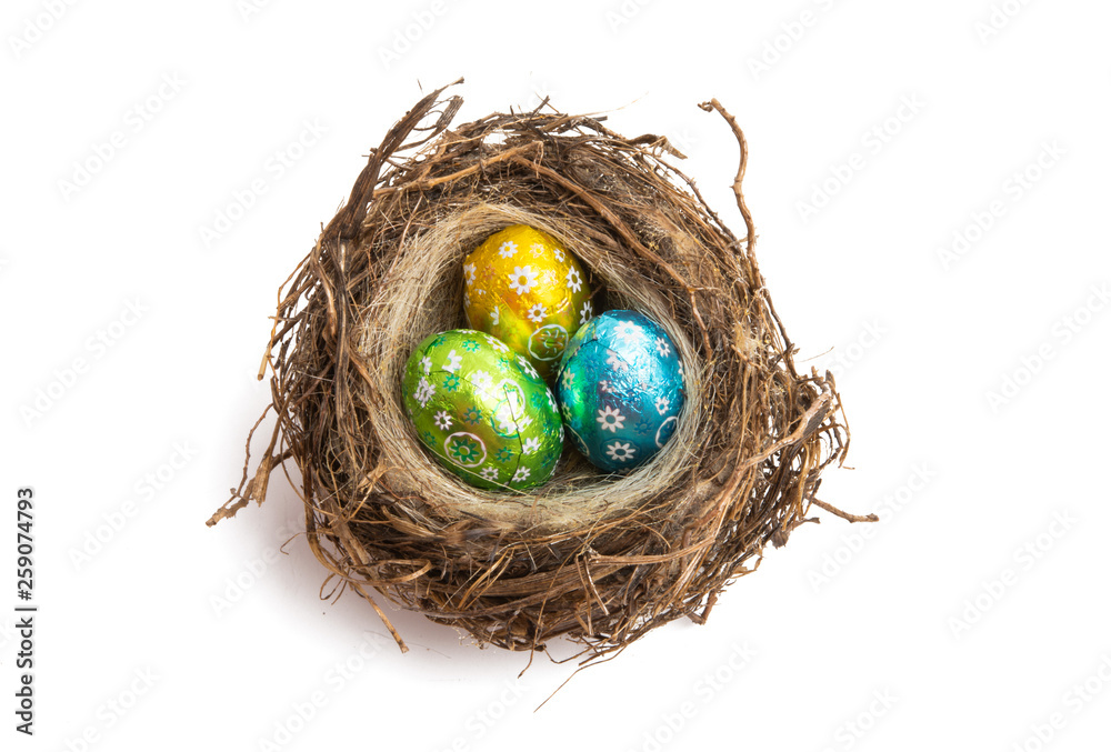 Obraz premium chocolate eggs in a nest isolated