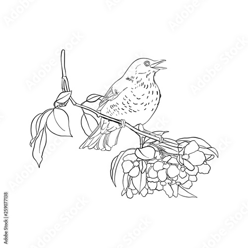 bird at tree branch